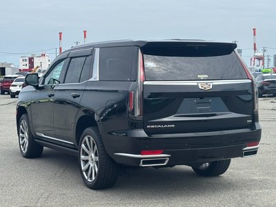 2021 Cadillac ESCALADE 照片 5