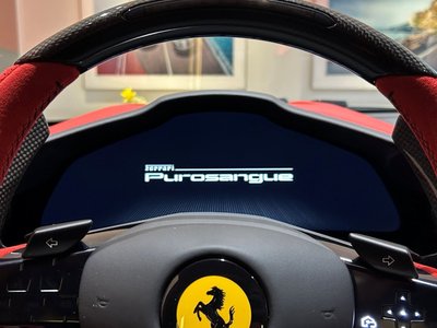 صورة 12 لـ 2025 Ferrari PUROSANGUE