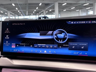 2024 BMW 5 SERIES thumbnail 41