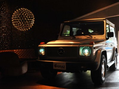1995 Mercedes-BENZ G-CLASS 缩略图 3