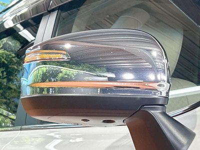 2025 Toyota LAND CRUISER 300 照片 39