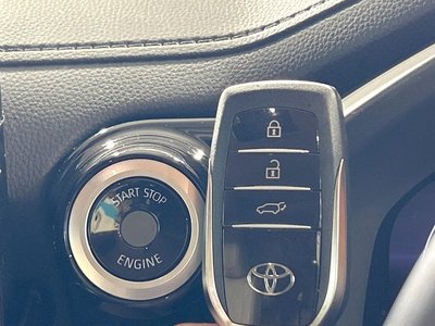 2025 Toyota LAND CRUISER 300 照片 24