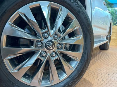 2025 Toyota LAND CRUISER 300 照片 14