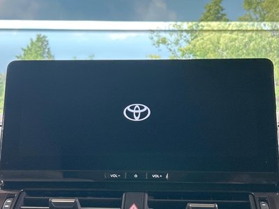 2025 Toyota LAND CRUISER 300 照片 6