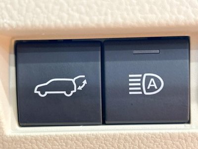 2025 Toyota LAND CRUISER 300 照片 49