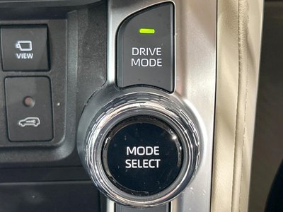 2025 Toyota LAND CRUISER 300 照片 58