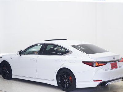 2020 Lexus ES thumbnail 19