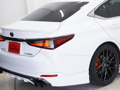 2020 Lexus ES photo 5