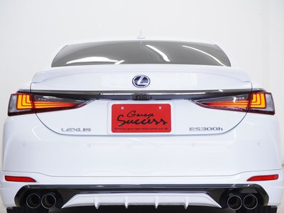 2020 Lexus ES thumbnail 62