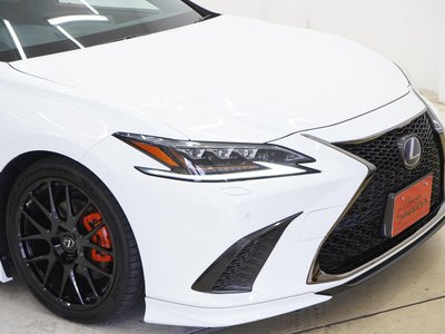 2020 Lexus ES thumbnail 51