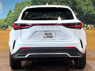 2025 Lexus NX photo 15