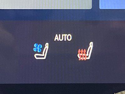 2025 Lexus NX thumbnail 24