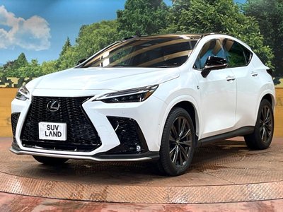 2025 Lexus NX photo 16