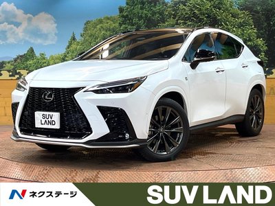 2025 Lexus NX photo 1
