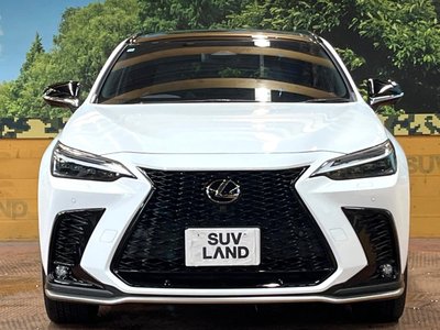 2025 Lexus NX photo 14