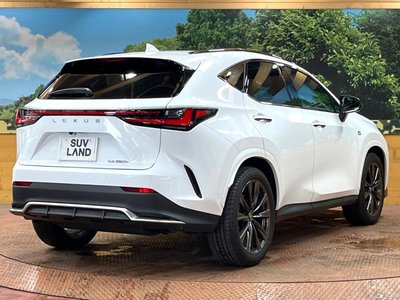 2025 Lexus NX thumbnail 17
