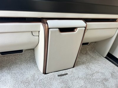 2024 Lexus LM photo 35
