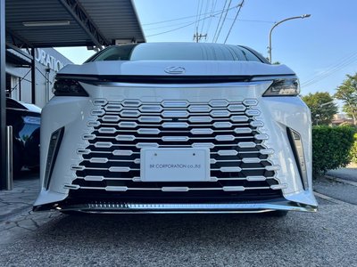 2024 Lexus LM photo 8