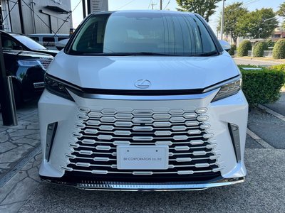 2024 Lexus LM photo 7