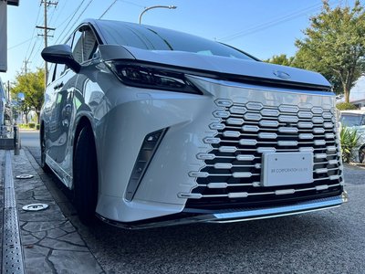 2024 Lexus LM photo 10