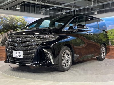 2024 Toyota ALPHARD 照片 13