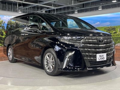 2024 Toyota ALPHARD 照片 15