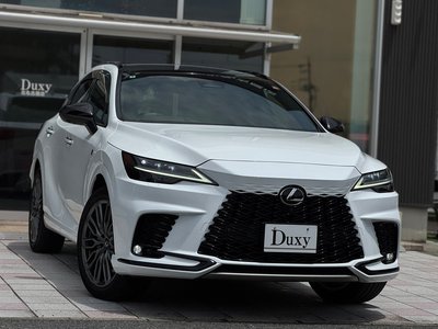 2024 Lexus RX 缩略图 9