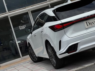 2024 Lexus RX 缩略图 35