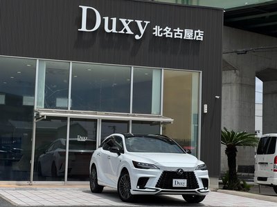 2024 Lexus RX 缩略图 12