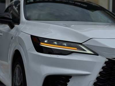 2024 Lexus RX 缩略图 29