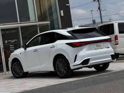 2024 Lexus RX 缩略图 33