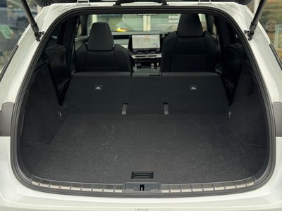 2024 Lexus RX 缩略图 76