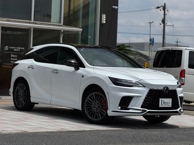 2024 Lexus RX 缩略图 13