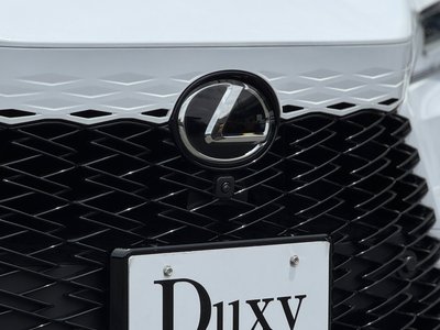 2024 Lexus RX 缩略图 17