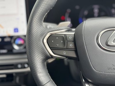 2024 Lexus RX 缩略图 59