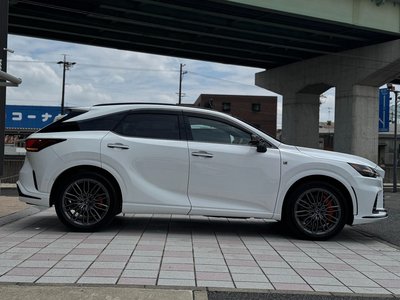 2024 Lexus RX 缩略图 10
