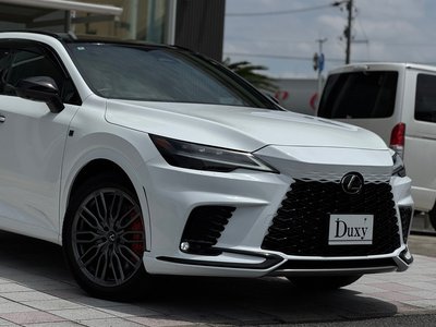 2024 Lexus RX 缩略图 14