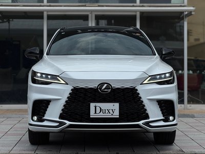 2024 Lexus RX 缩略图 30