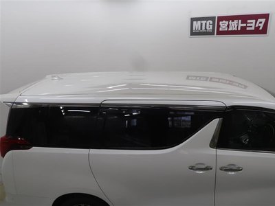 2022 Toyota ALPHARD 照片 15