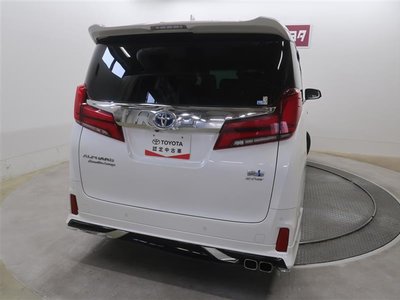 2022 Toyota ALPHARD 照片 12
