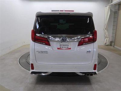 2022 Toyota ALPHARD 照片 14