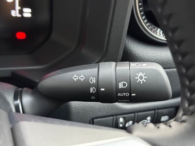 2026 Toyota LAND CRUISER 250 照片 10
