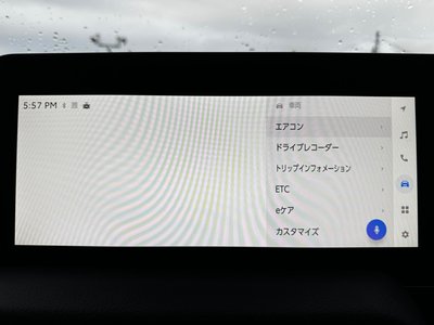 2026 Toyota LAND CRUISER 250 照片 17