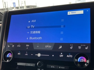 2025 Toyota ALPHARD photo 11