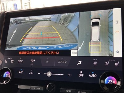 2025 Toyota ALPHARD photo 12