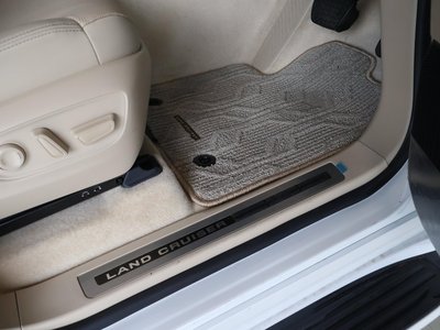 2025 Toyota LAND CRUISER 300 photo 14
