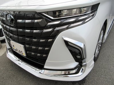 2024 Toyota ALPHARD 照片 5