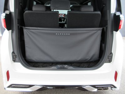 2024 Toyota ALPHARD 照片 13