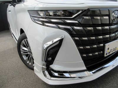2024 Toyota ALPHARD 照片 4
