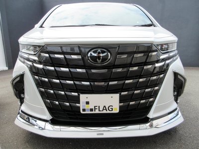 2024 Toyota ALPHARD 照片 3